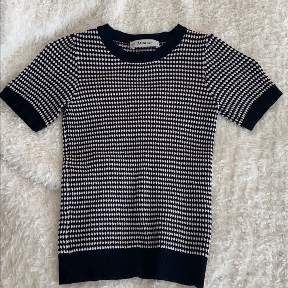 Zara Knit Printed Top
